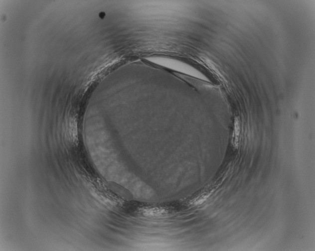 X0000087060500200705091204