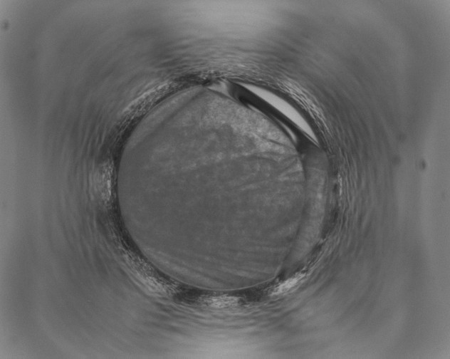 X0000087060501200705091204