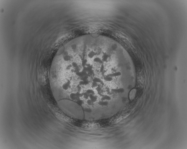 X0000087060503200705091204