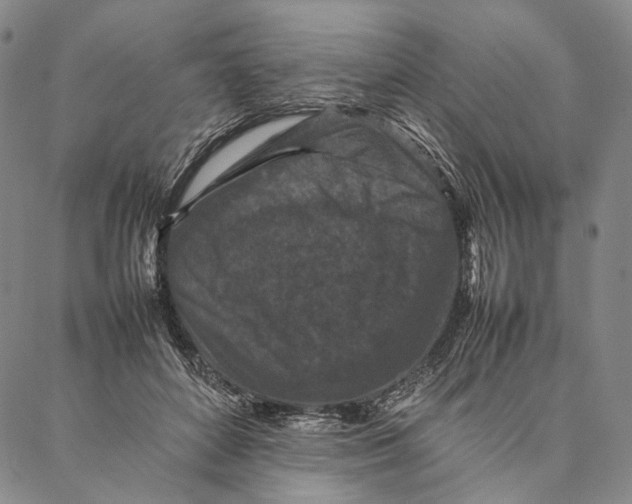 X0000087060504200705091204