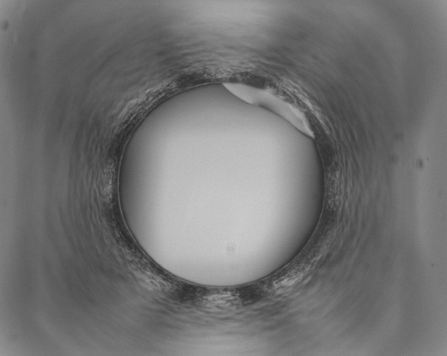 X0000087060505200705091204