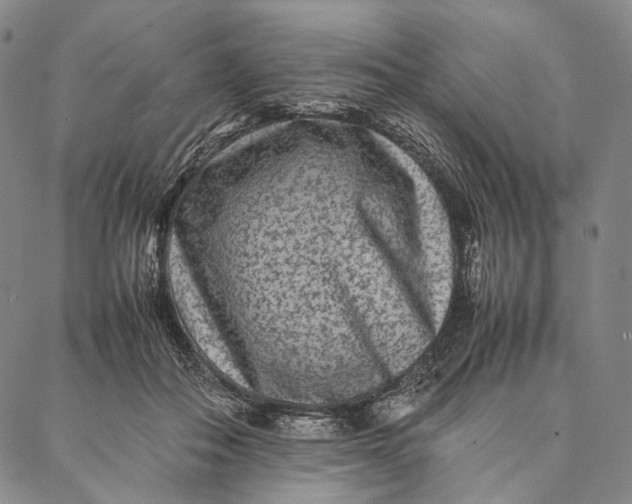 X0000087060506200705091204