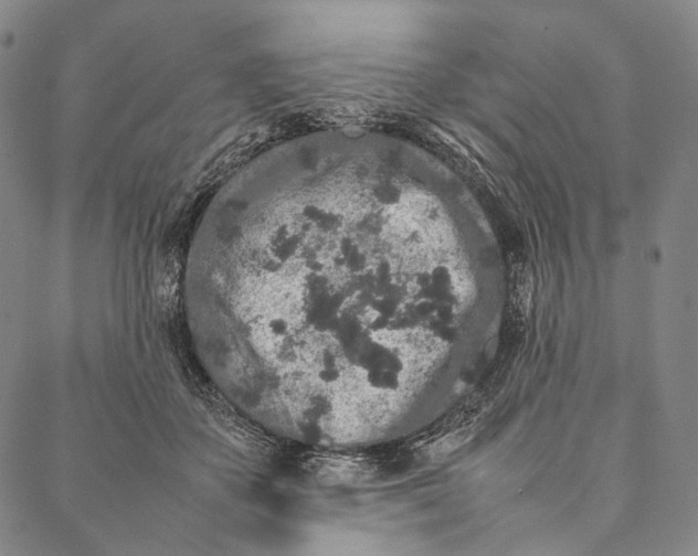 X0000087060507200705091204