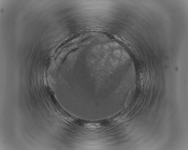 X0000087060508200705091204