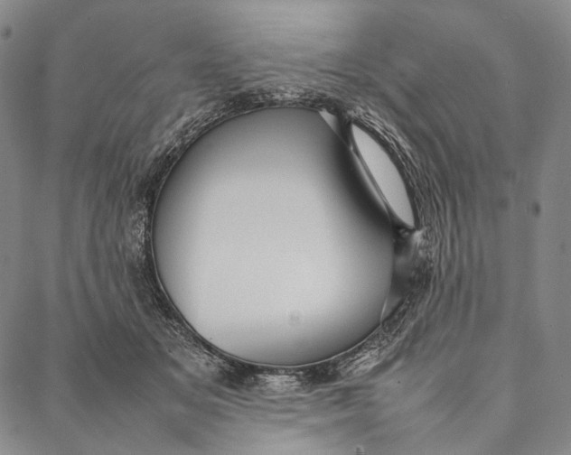 X0000087060509200705091204