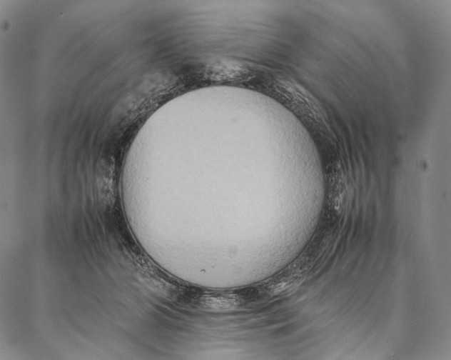 X0000087060510200705091204