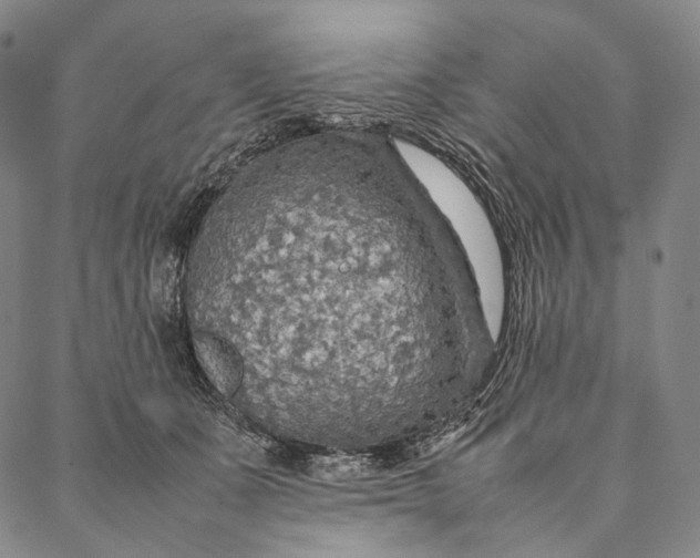 X0000087060511200705091204