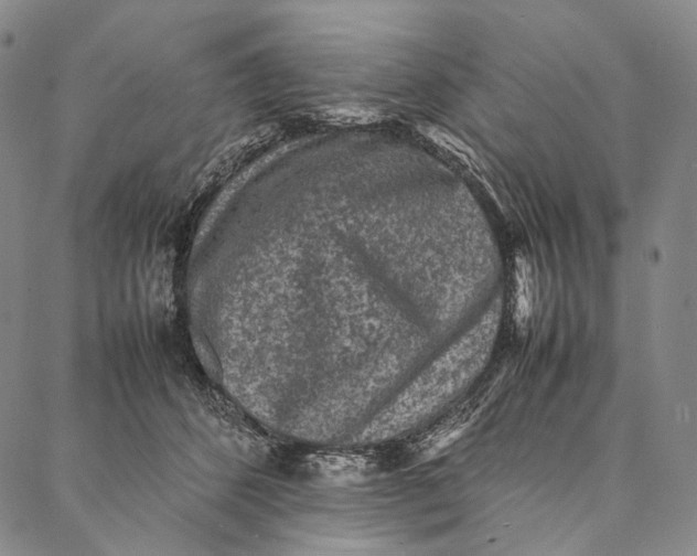 X0000087060512200705091204