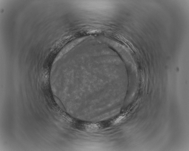 X0000087060513200705091204