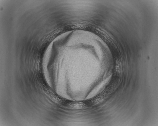 X0000087060514200705091204