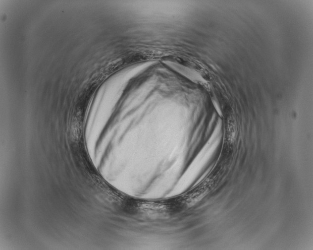 X0000087060515200705091204