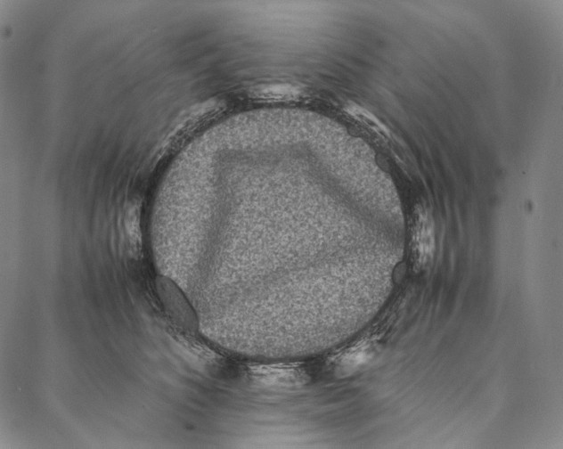 X0000087060516200705091204