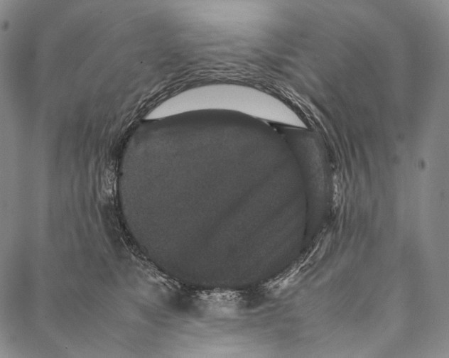 X0000087060517200705091204