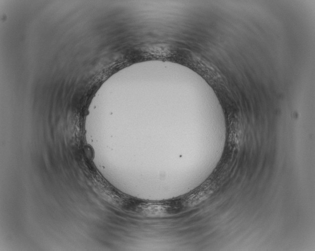 X0000087060518200705091204