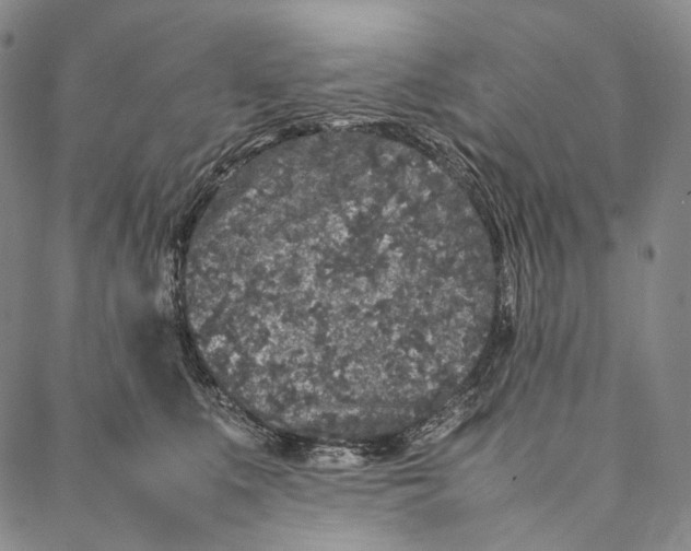 X0000087060519200705091204