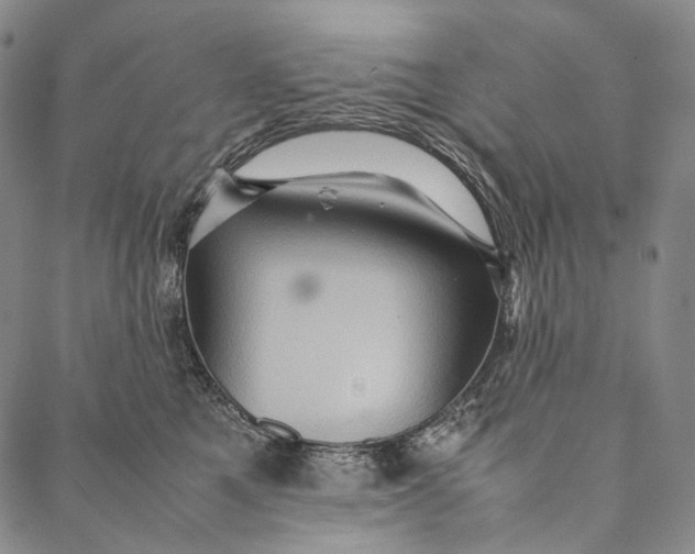 X0000087060521200705091204