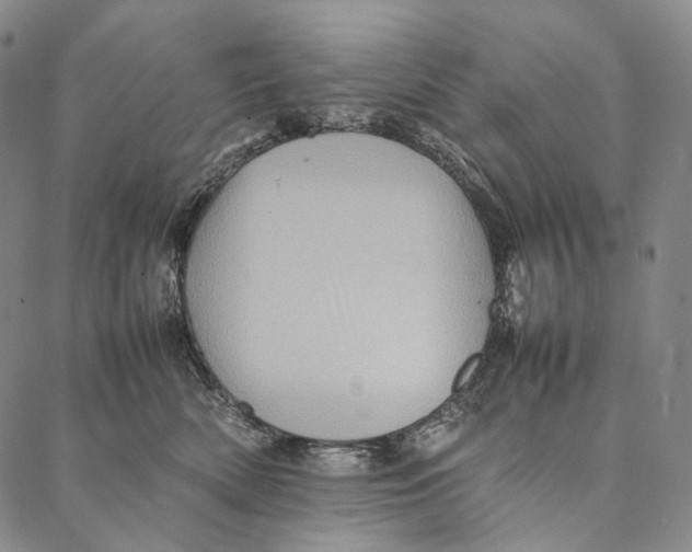 X0000087060522200705091204