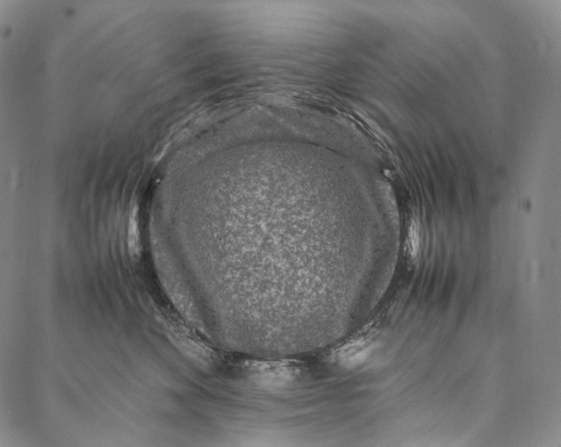 X0000087060524200705091204