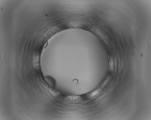 X0000087060526200705091203