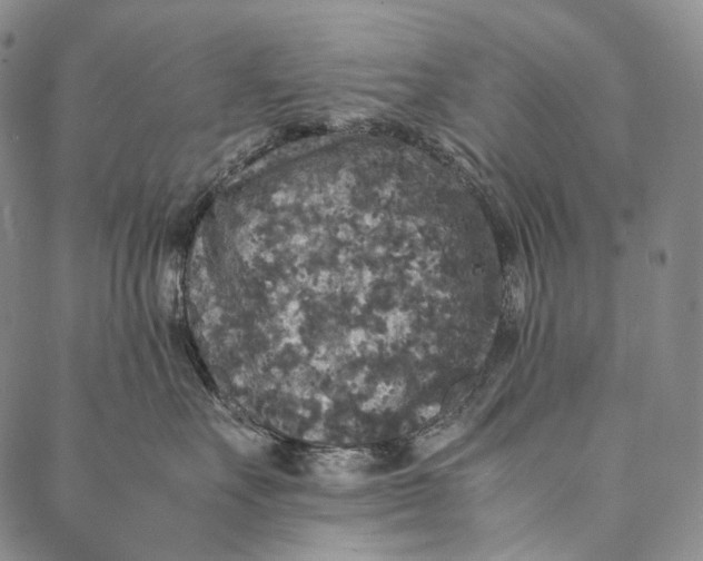 X0000087060527200705091203