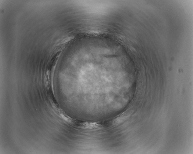 X0000087060528200705091203