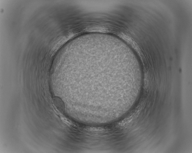 X0000087060529200705091203