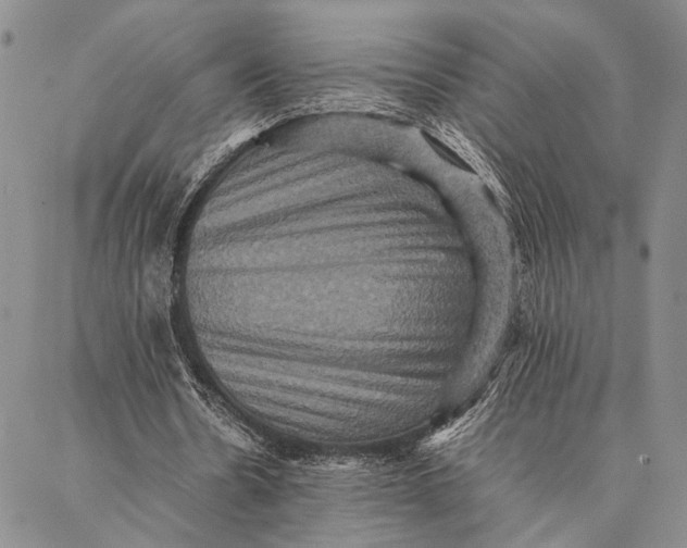 X0000087060530200705091203