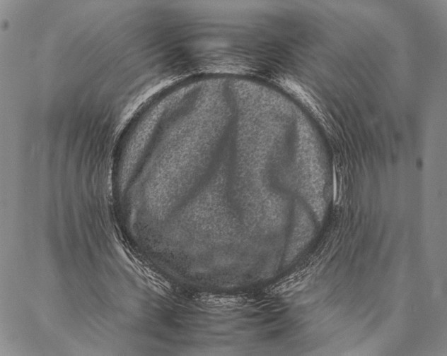 X0000087060531200705091203