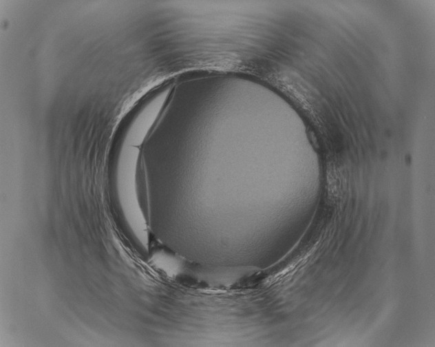 X0000087060532200705091203