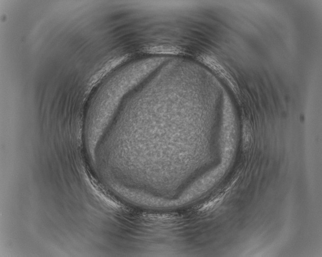 X0000087060533200705091203