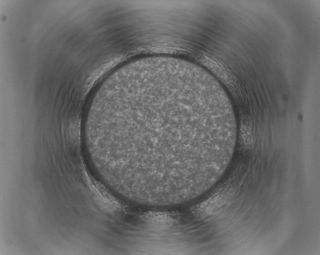 X0000087060534200705091203