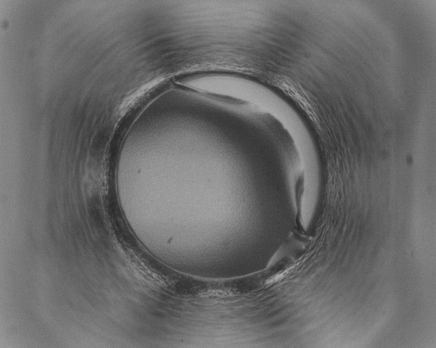 X0000087060536200705091203