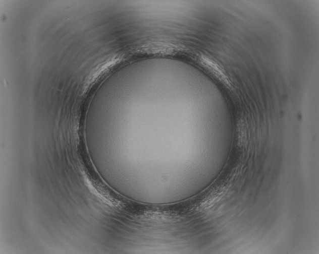 X0000087060538200705091203