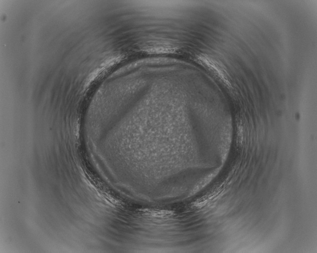 X0000087060539200705091203