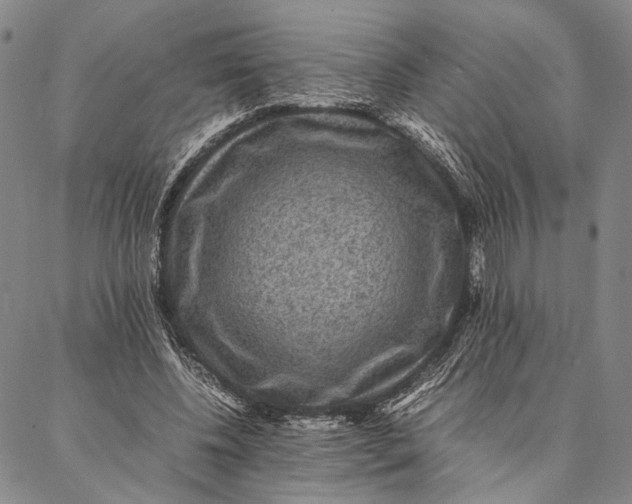 X0000087060540200705091203