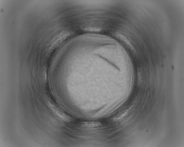 X0000087060541200705091203