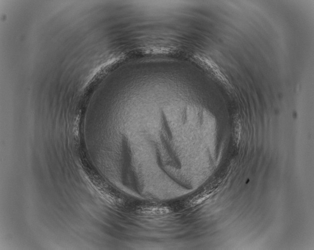 X0000087060543200705091203