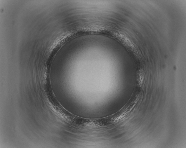 X0000087060544200705091203