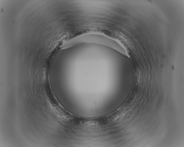 X0000087060546200705091203