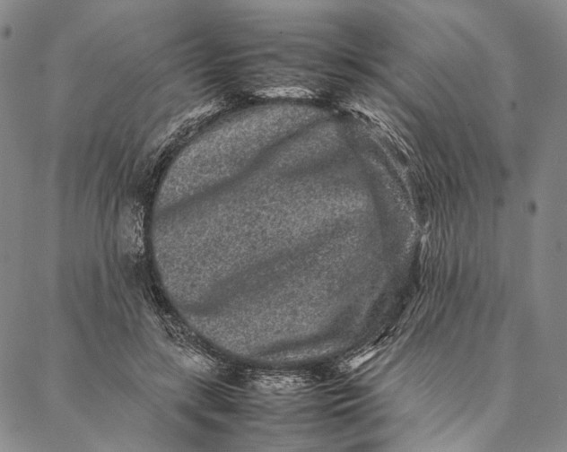 X0000087060547200705091203