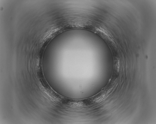 X0000087060548200705091203