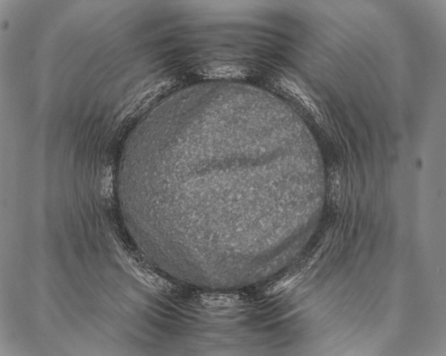 X0000087060549200705091203