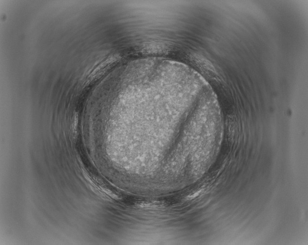 X0000087060550200705091203