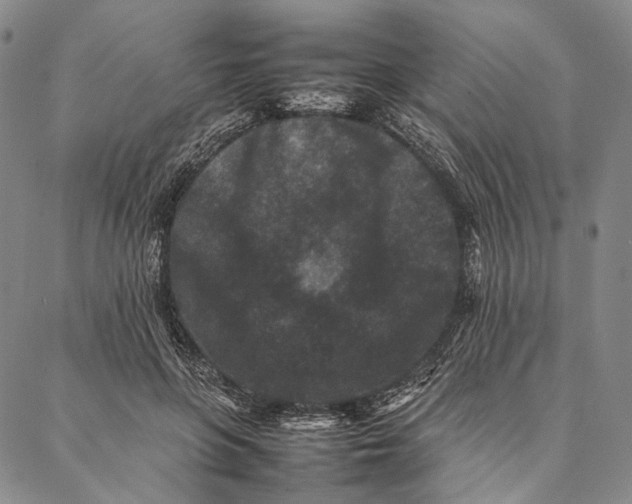 X0000087060551200705091203