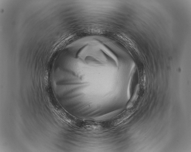 X0000087060552200705091203