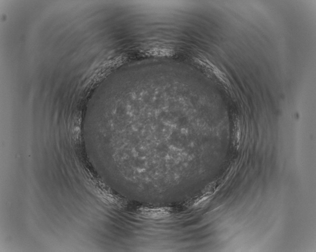 X0000087060553200705091203