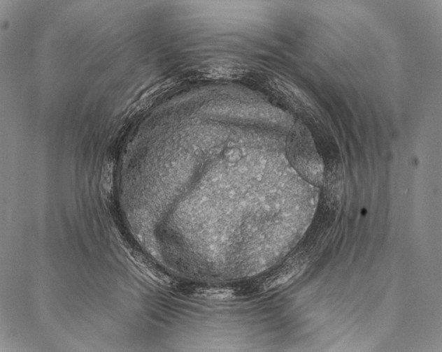 X0000087060554200705091203