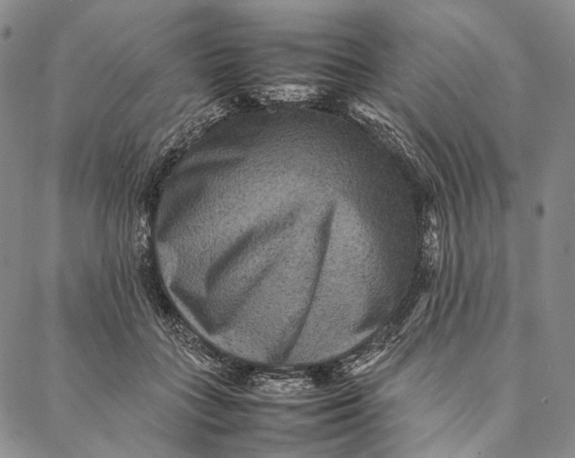 X0000087060555200705091203