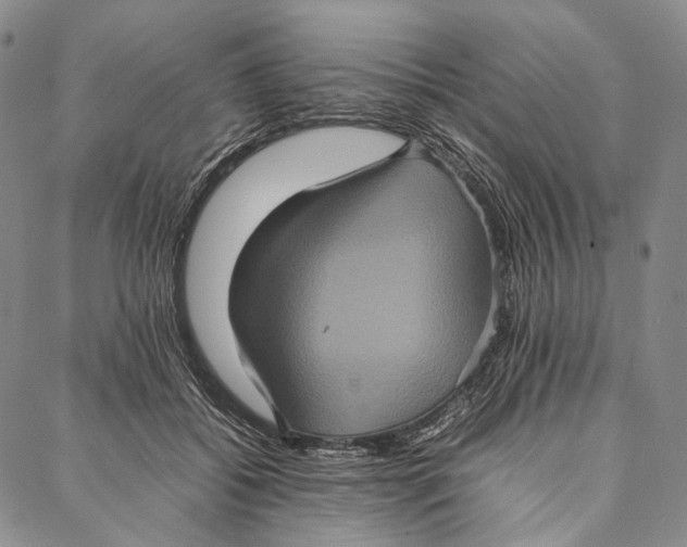 X0000087060556200705091203