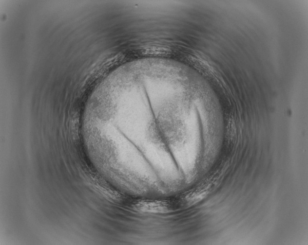 X0000087060557200705091203